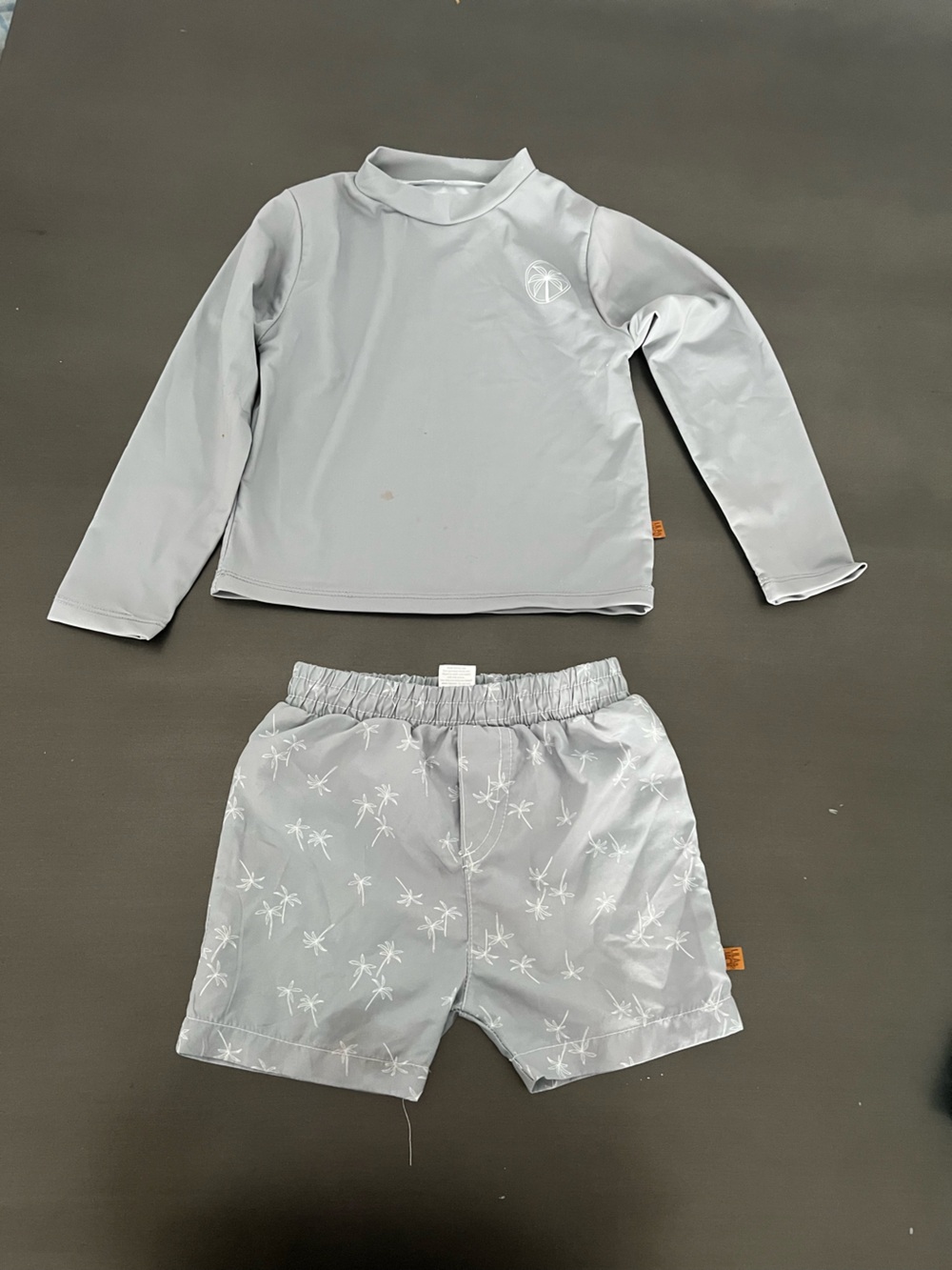 Kids Light Gray Rash Guard Set - Long Sleeve Top & Swim Shorts 4T